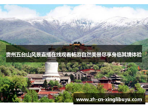 贵州五台山风景直播在线观看畅游自然美景尽享身临其境体验